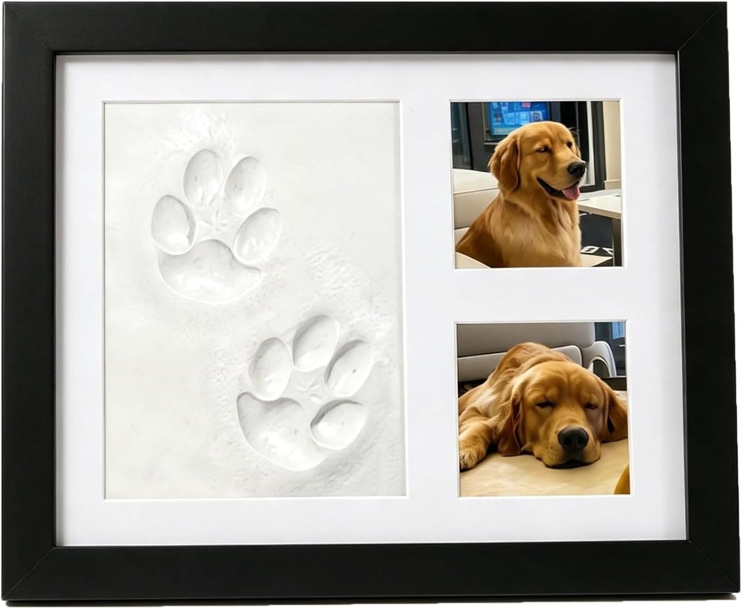 Köpekler, Kediler ve Evcil Hay - Photographic Memory incelemesi ve fiyatı
